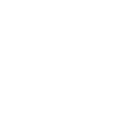 Borges e Zembruski